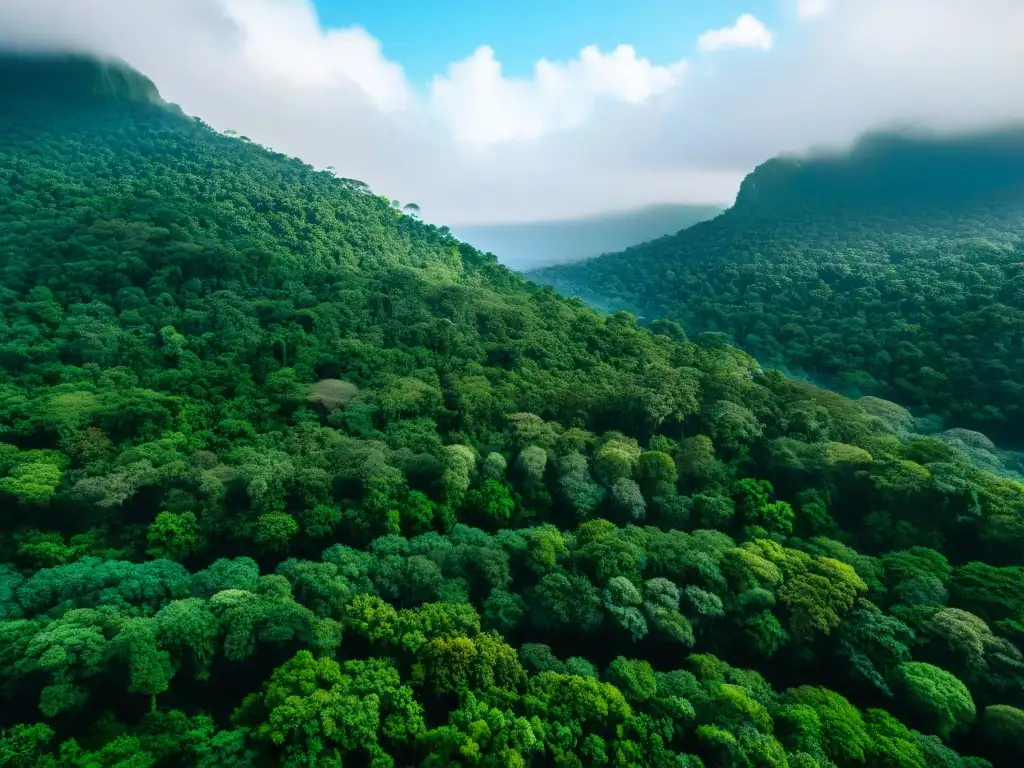 Vista aérea impresionante de un dosel de selva exuberante, vida silvestre diversa, verde vibrante bajo cielo azul